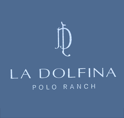 Logo LD Logo LD
